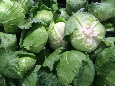 cabbage-image