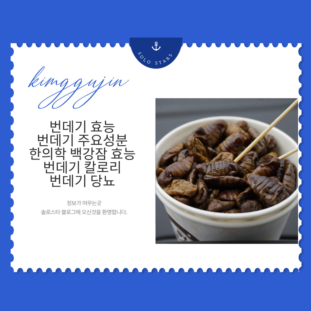 번데기 사진