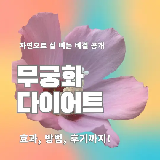 무궁화 다이어트