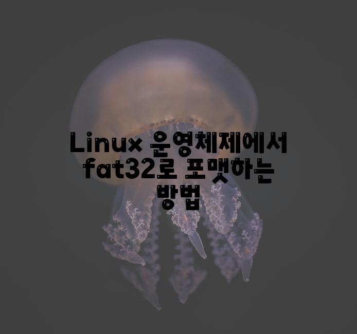 Linux ์ด์์ฒด์ ์์ fat32๋ก ํฌ๋งทํ๋ ๋ฐฉ๋ฒ