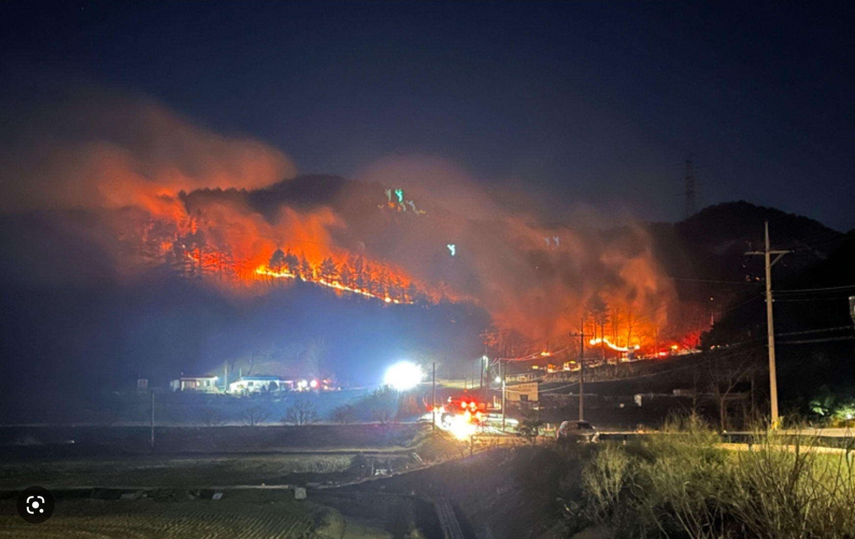 삼척산불 사진