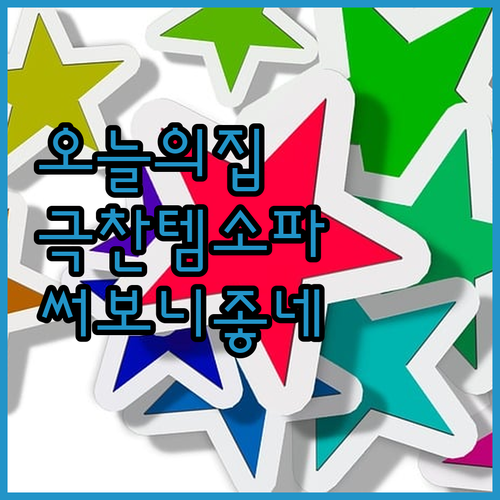 오늘의집 극찬템 LOUNGE 구스 소