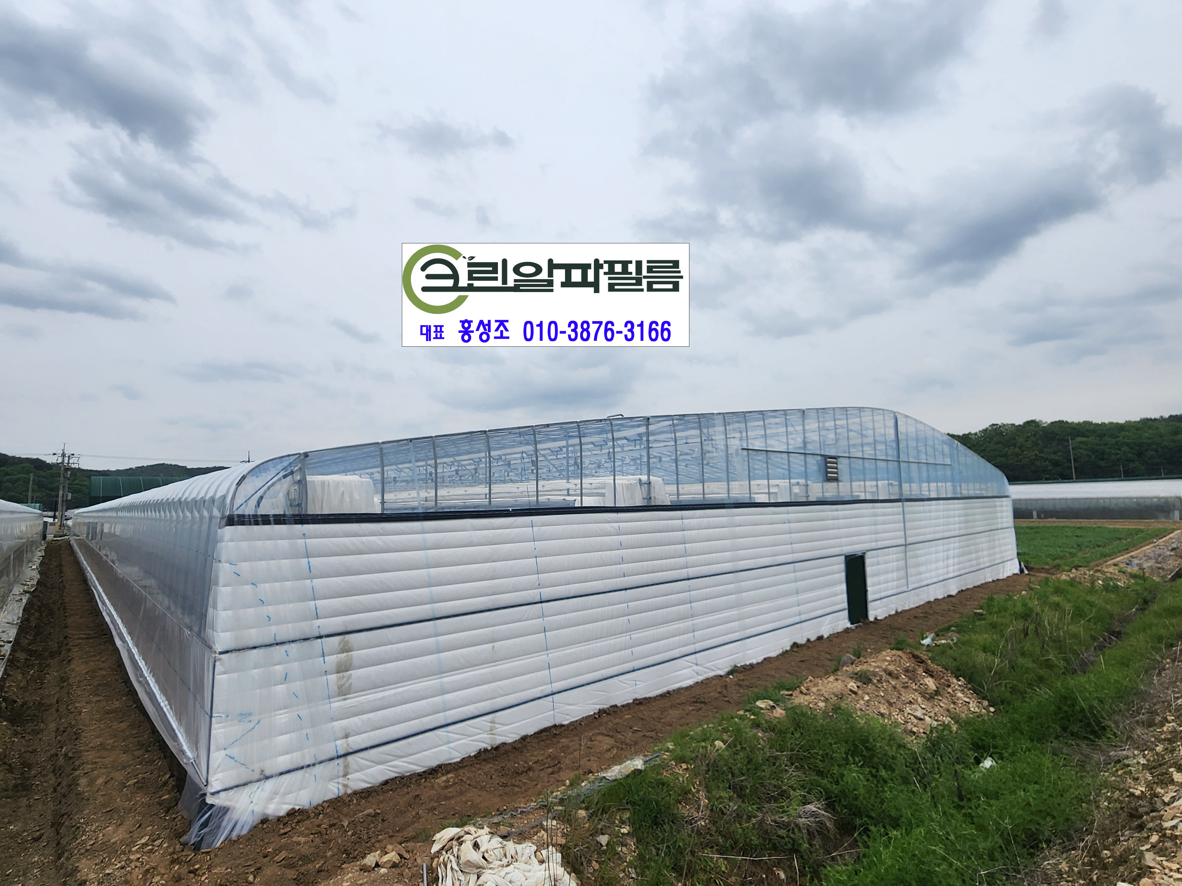 크린알파필름 이미지