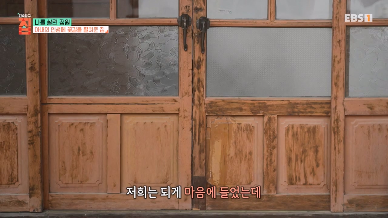 TV - 전 국민의 평생학교 EBS나를 살린 정원.mp4_20230814_211335.448.jpg