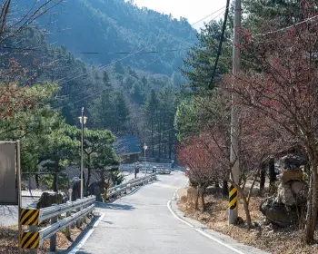 축령산 자연휴양림_6