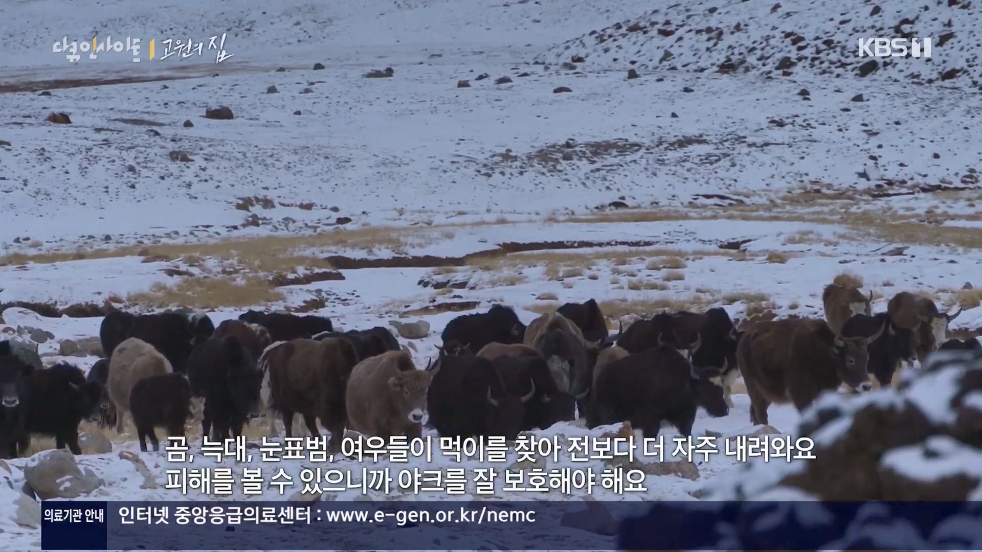 다큐 인사이트.E176.240328p.H264-F1RST.mp4_20240330_161607.895.jpg