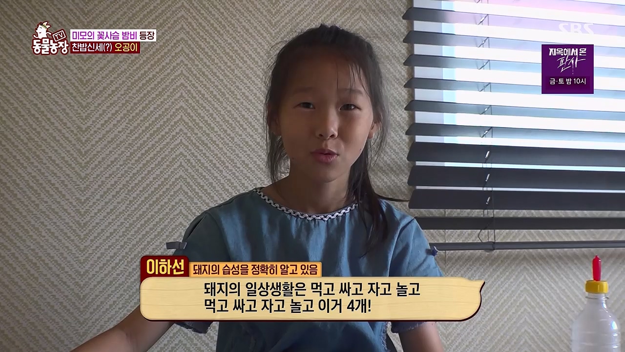 TV 동물농장 1189화 다시보기.ts_20240922_161947.587.jpg