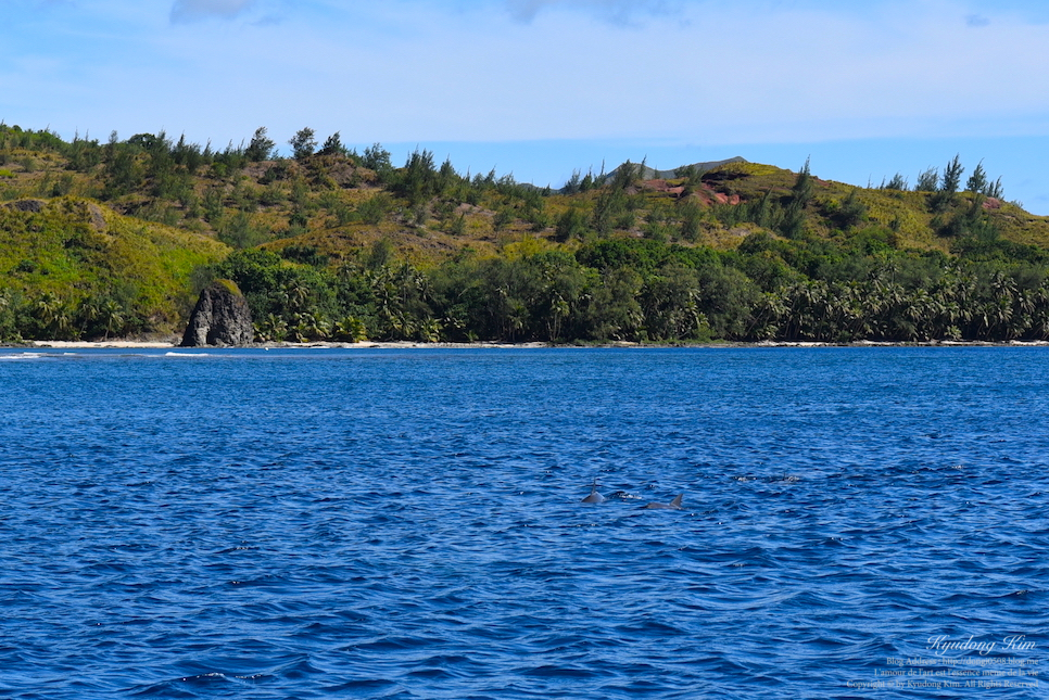 ●중국인 취급 미국, 괌은 한국인 입국금지 국가로 2