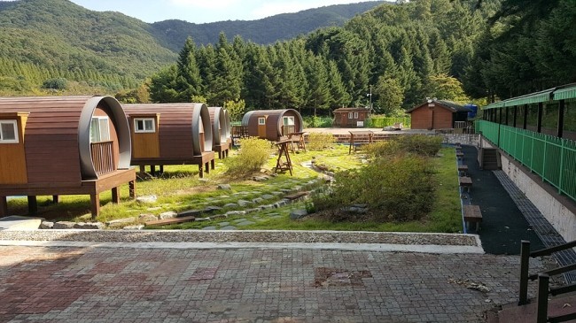 3월 2일 목요일 자연휴양림 예약 11