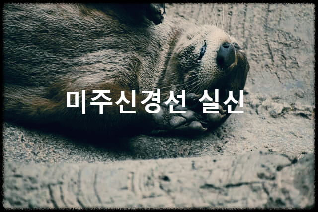  미주신경선 실신 : 자유신경계의 일시적인 불균형으로 인해 의식을 잃는 것