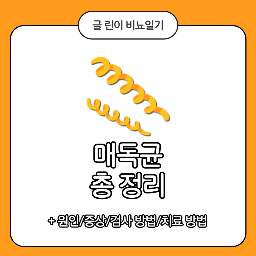  매독균 총 정리