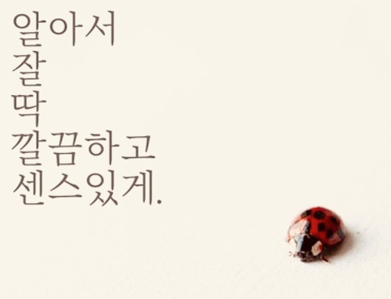 신조어 알잘딱깔센 아세요?? 밈 (meme) 은 아시나요??