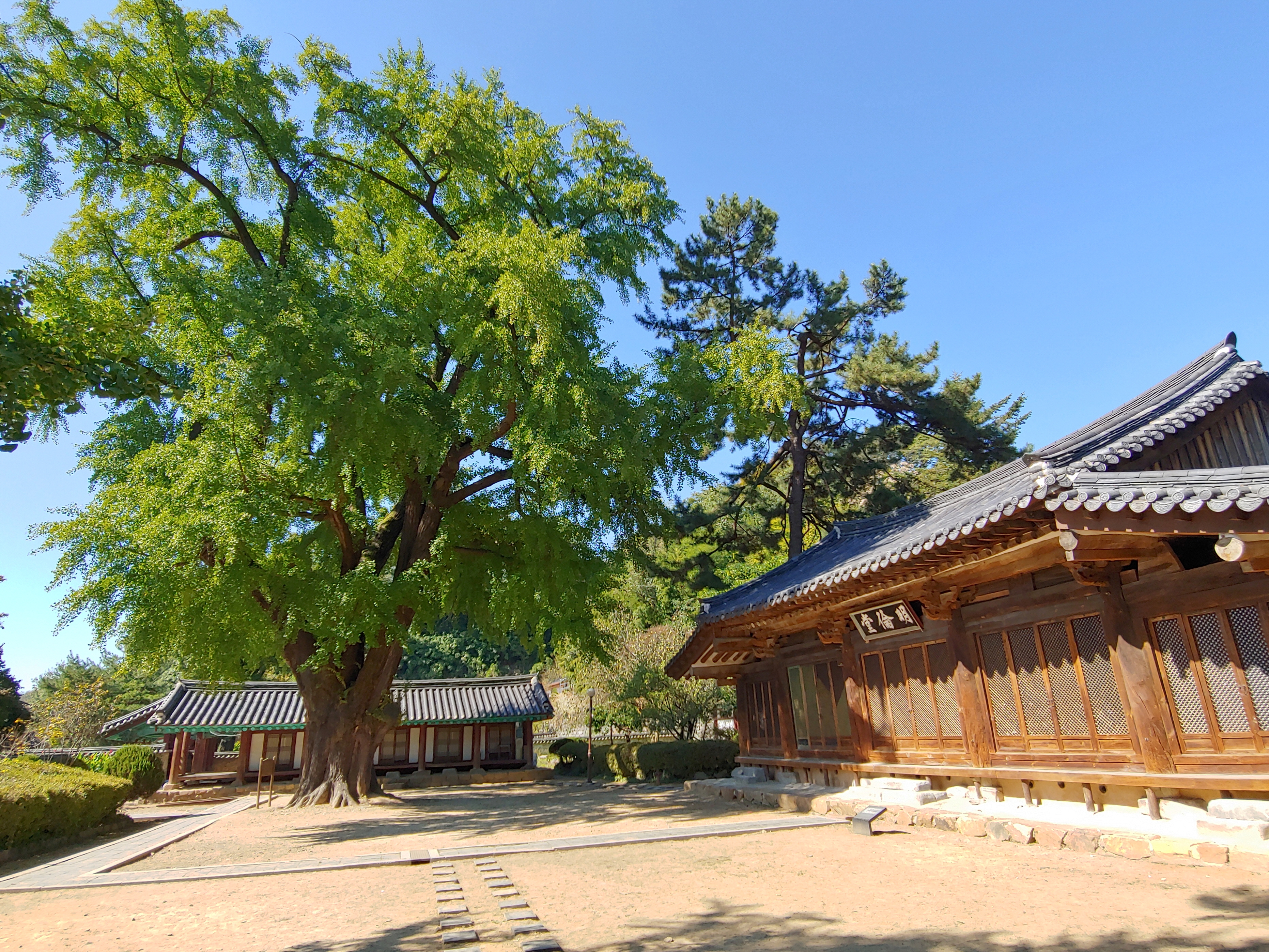 전주한옥마을 가볼만한 곳, 은행나무가 너무 멋진 전주향교 - 휴식같은 여행으로의 초대 이미지