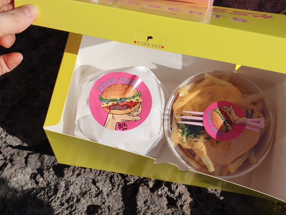 제주 전연령 렌트카 제주도 첫날 시작! 18