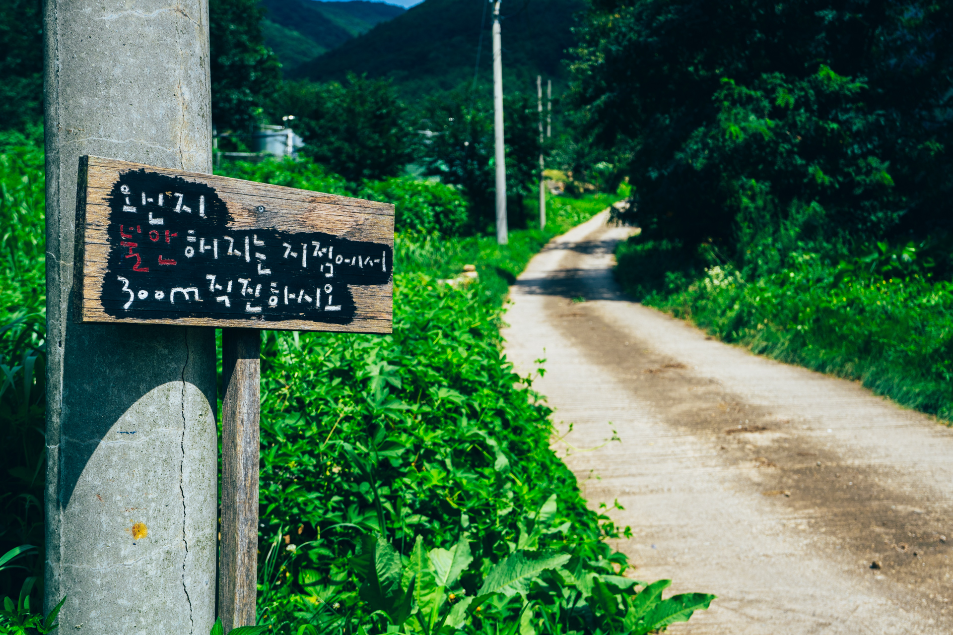 평창 이화에 월백하고 41