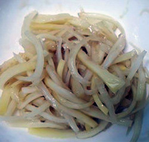 2024년 설날 음식 : 7. 도라지나물 맛있게 만드는 법 3. 도라지 제우기
