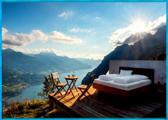 웃는 꿈 꿈꾸며 웃는 소 3