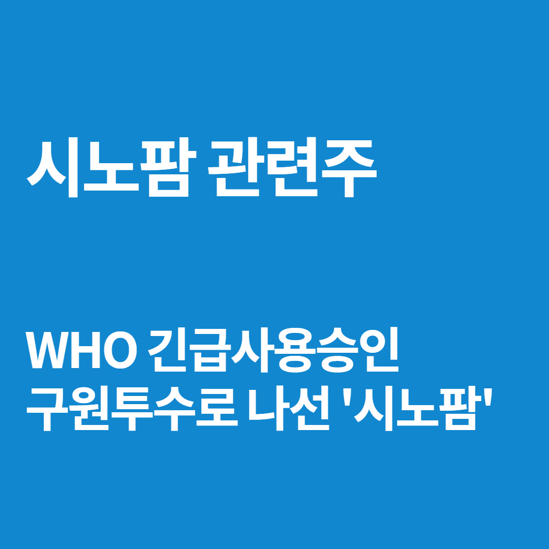  중국 백신 시노팜 WHO 긴급사용 승인 ; 들썩이는 백신관련주