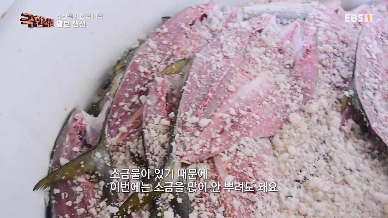 TV - 전 국민의 평생학교 EBS수산물의 천국 태국, 새우 양식과 말린 생선.mp4_20240604_201809.517.jpg