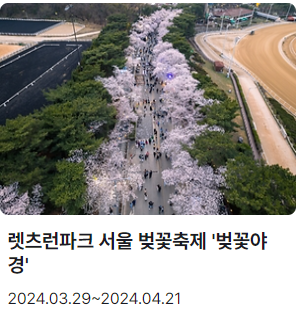 서울벚꽃축제