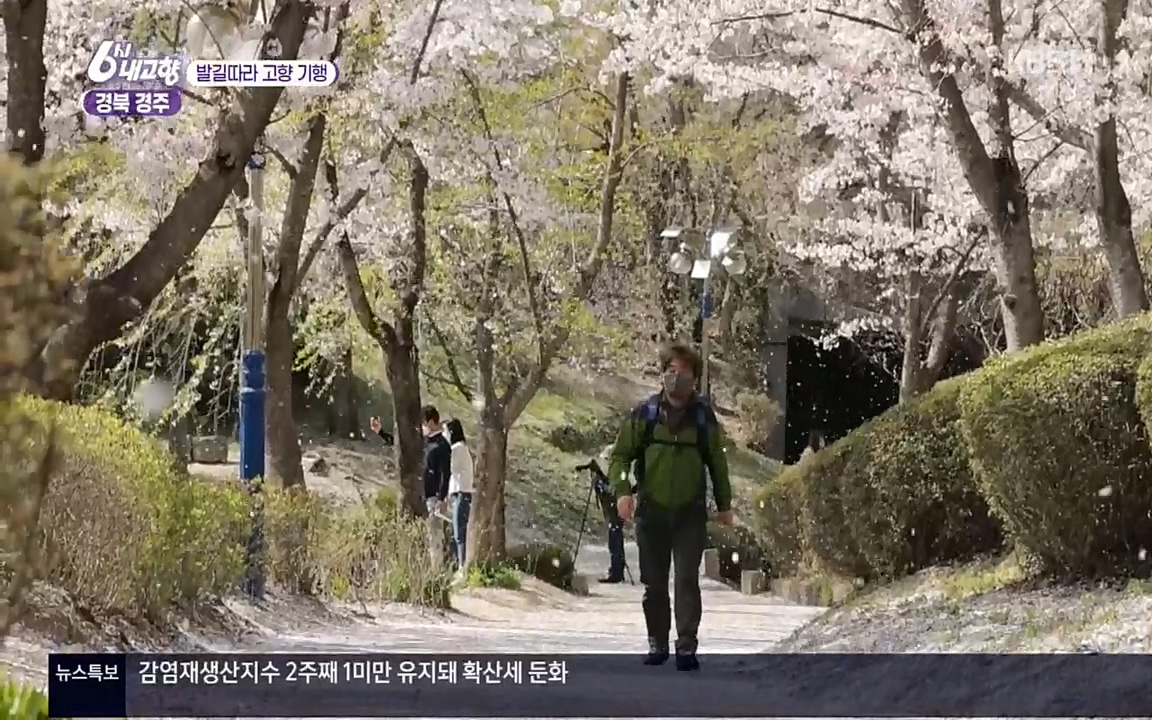 6시 내고향.E7510.220414p.H264-F1RST.mp4_20220419_185017.673.jpg