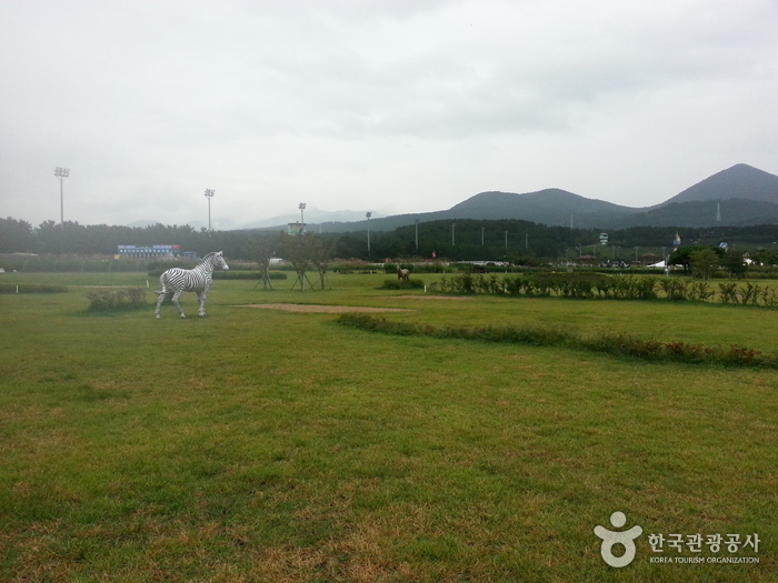 제주도 애월읍 렛츠런파크 이색 파크골프장 소개