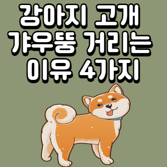 강아지 고개 갸우뚱거리는 이유 4가지 썸네일