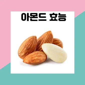 아몬드 효능 하루 섭취량 칼로리_18