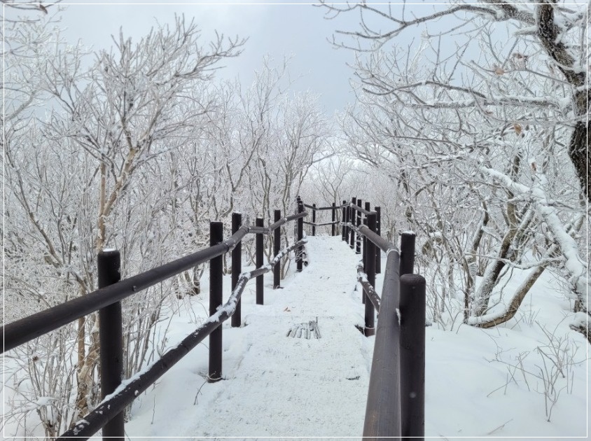 덕유산-눈꽃여행-향적봉