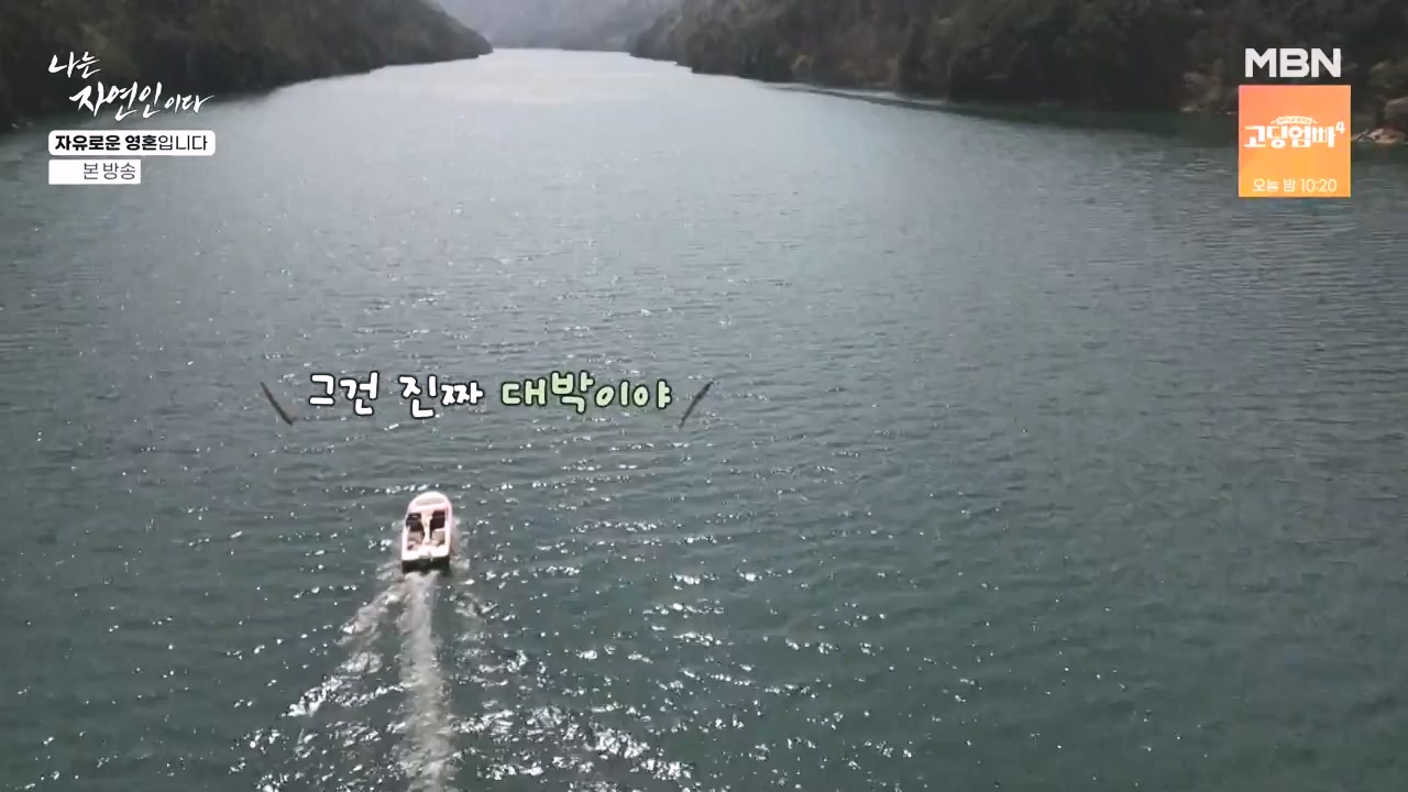 나는 자연인이다.E604.240509p-NEXT.mp4_20240509_195712.689.jpg
