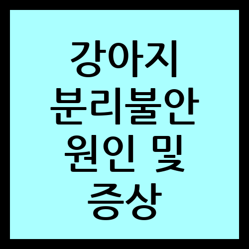 강아지 분리불안 원인 및 증상