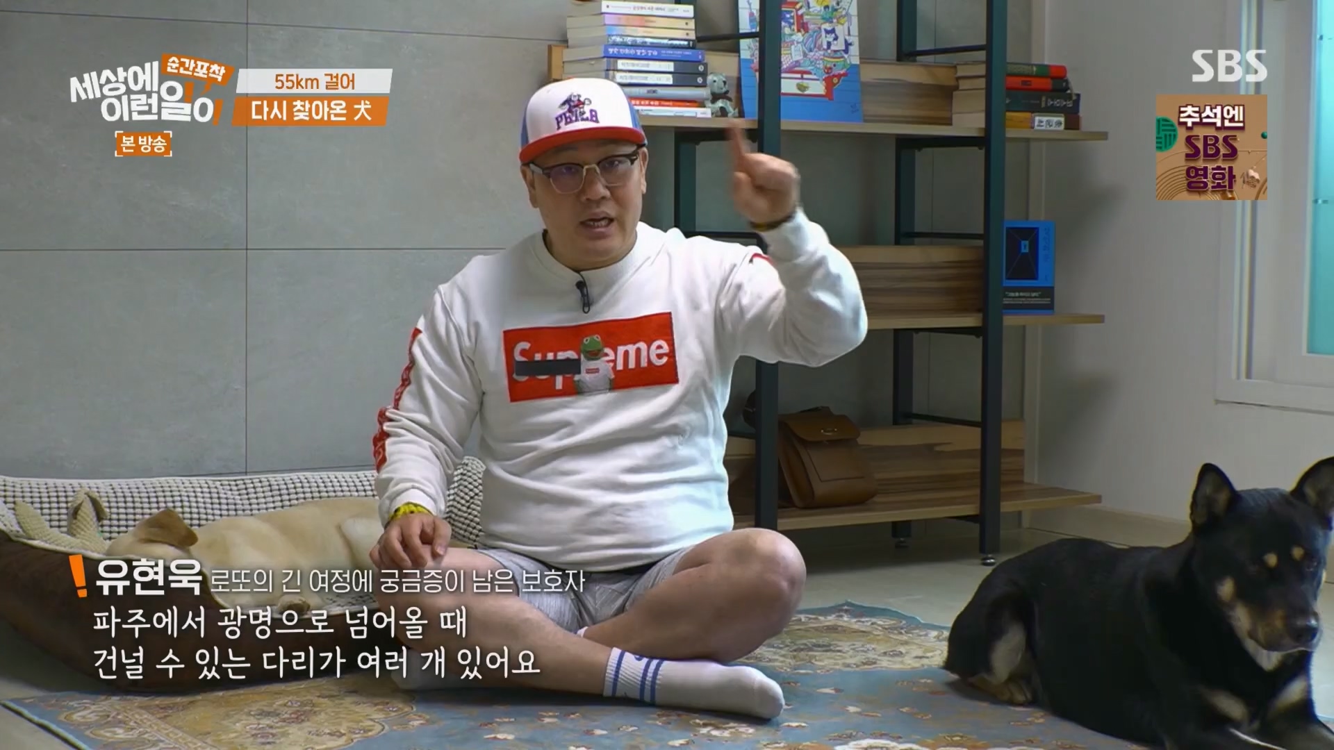 순간포착 세상에 이런일이.E1247.230923p.H264-F1RST.mp4_20230924_152706.716.jpg