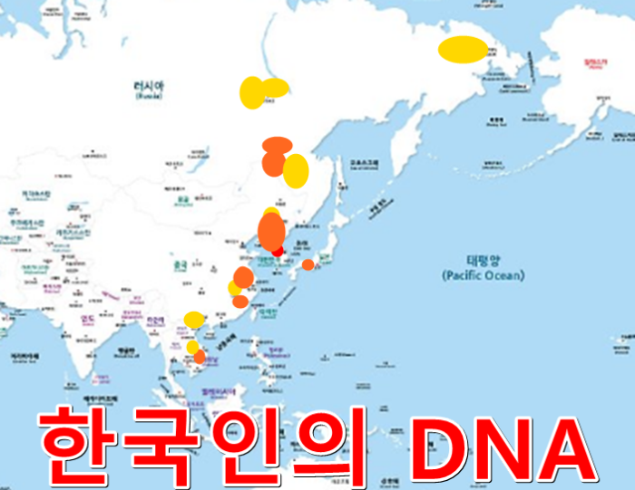 한국인의 DNA