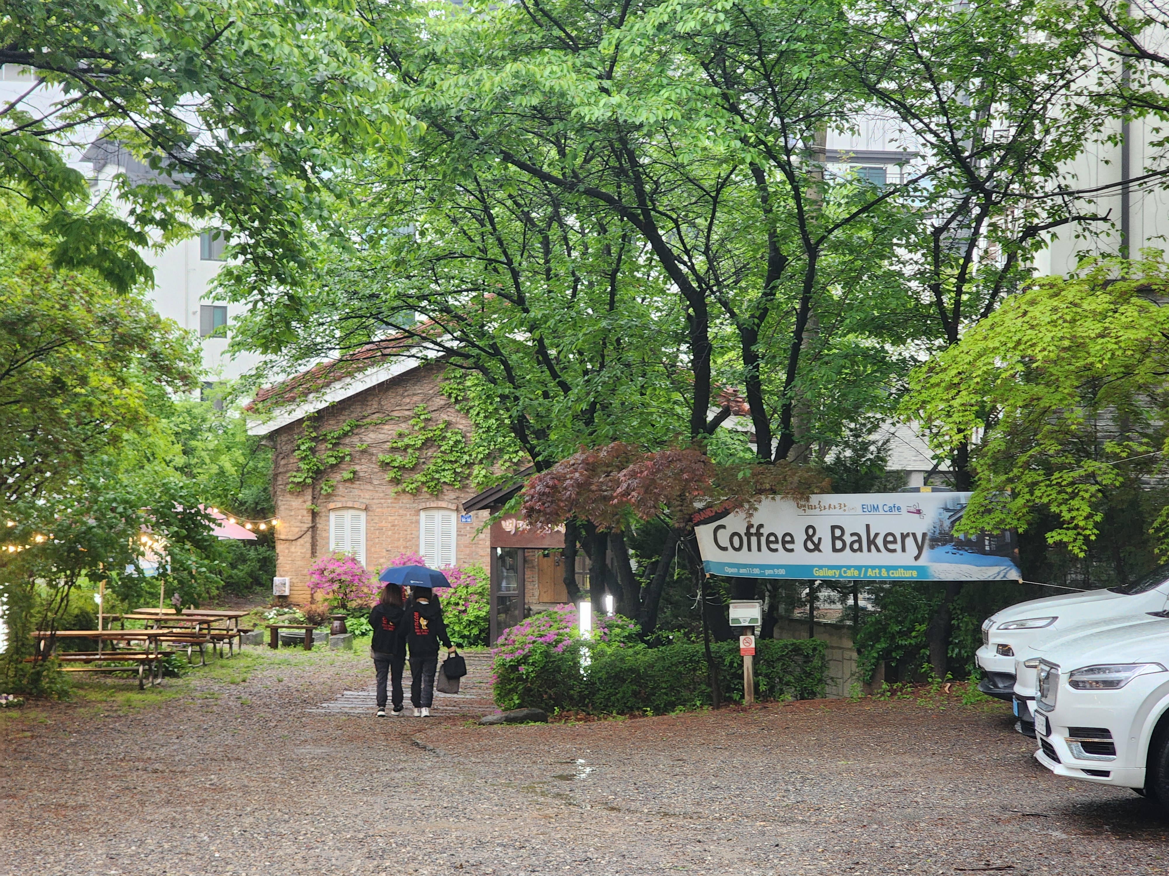 백마 화사랑 – 애니골 길목에서 만나는 시간 여행형 복합 문화카페 백마 화사랑 – 애니골 길목에서 만나는 시간 여행형 복합 문화카페
