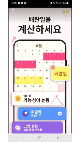 생리전 생리후 임신가능성 배란일 확인_12