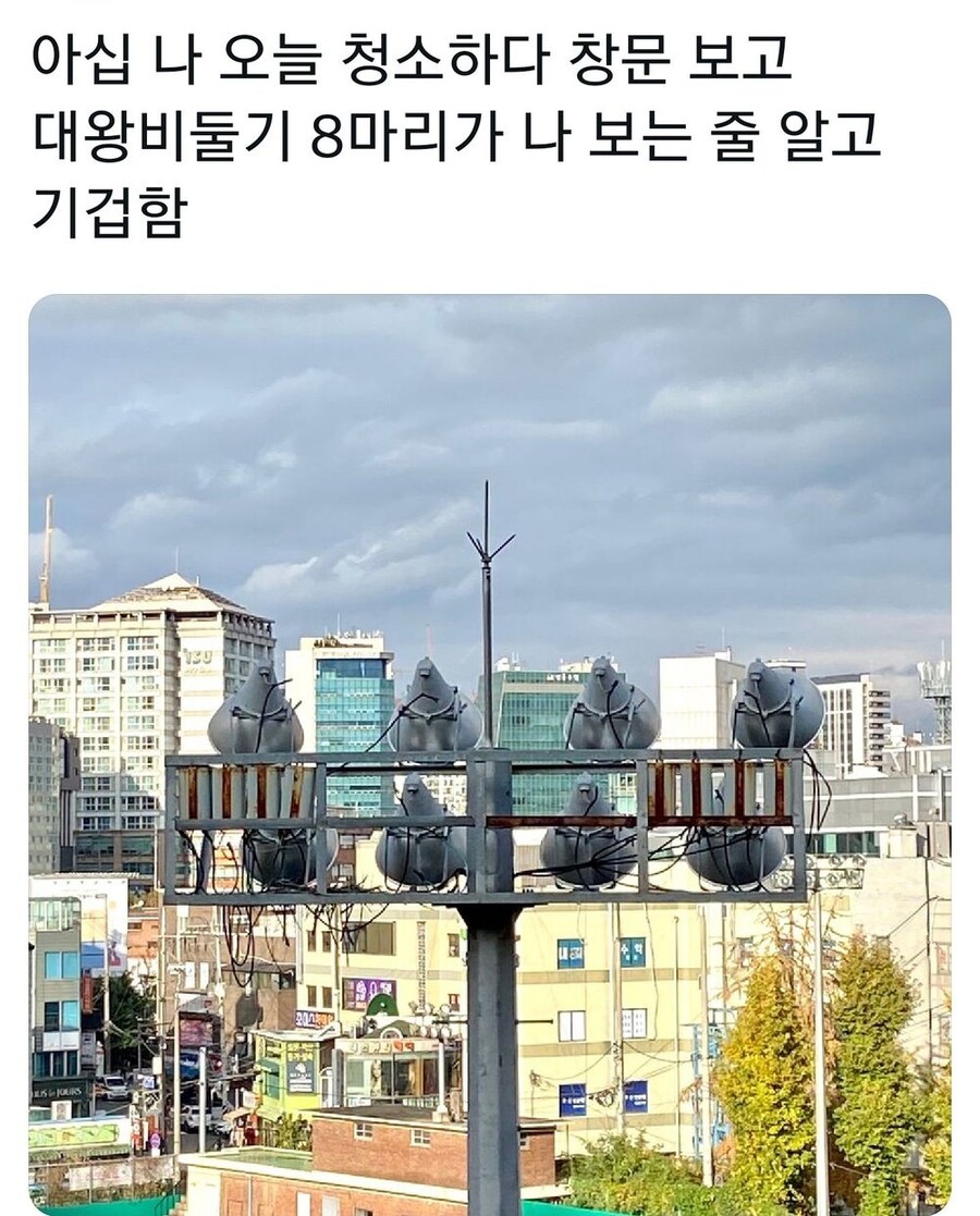 청소하다 이미지