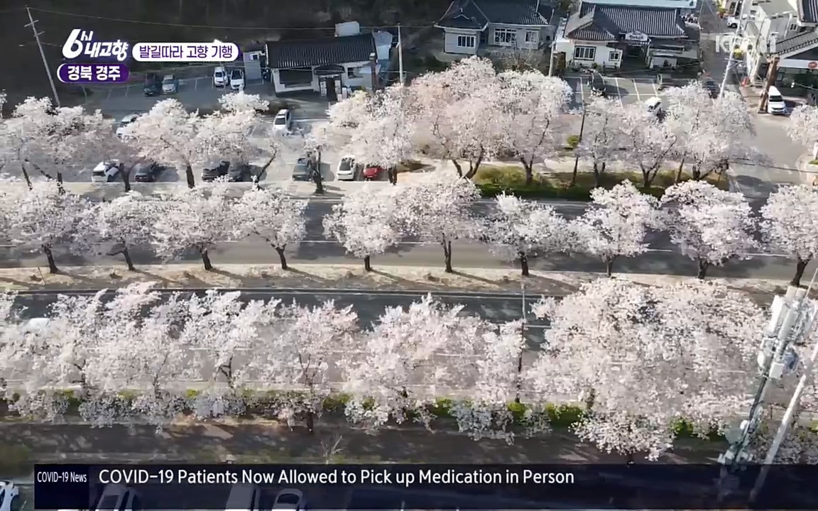 6시 내고향.E7510.220414p.H264-F1RST.mp4_20220419_185238.304.jpg