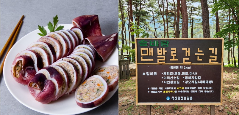 국내 온천 여행지 추천 - 강원도 속초 중앙 시장 오징어 순대와 척산 온천 휴양촌 산책로