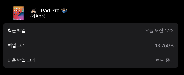 아이패드 백업 상태