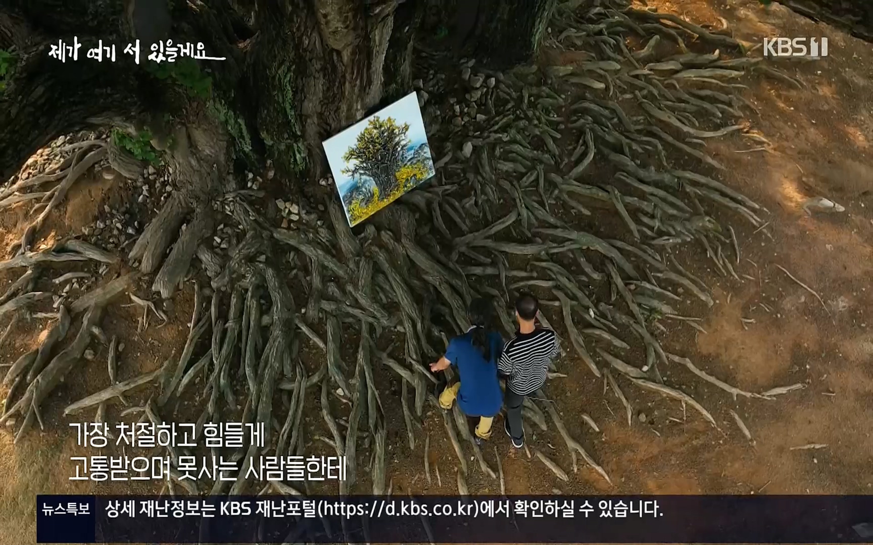 다큐 인사이트.E124.220908p.H264-F1RST.mp4_20220912_143738.202.jpg