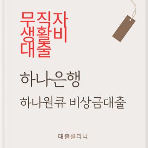 하나은행 하나원큐 비상금대출