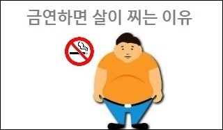 금연하면 살이 찌는 이유