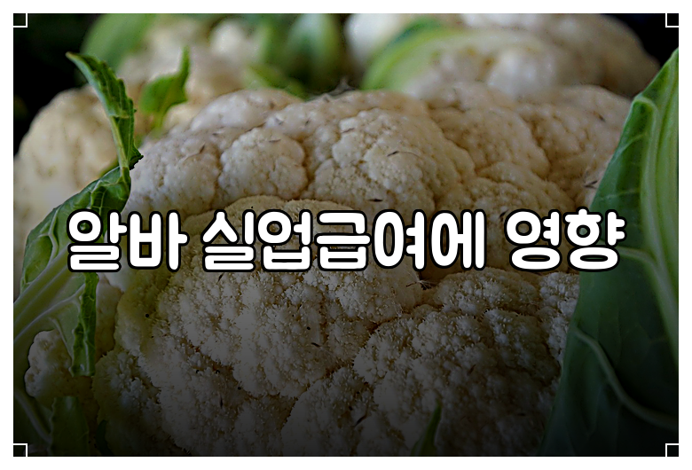 알바 실업급여에 영향