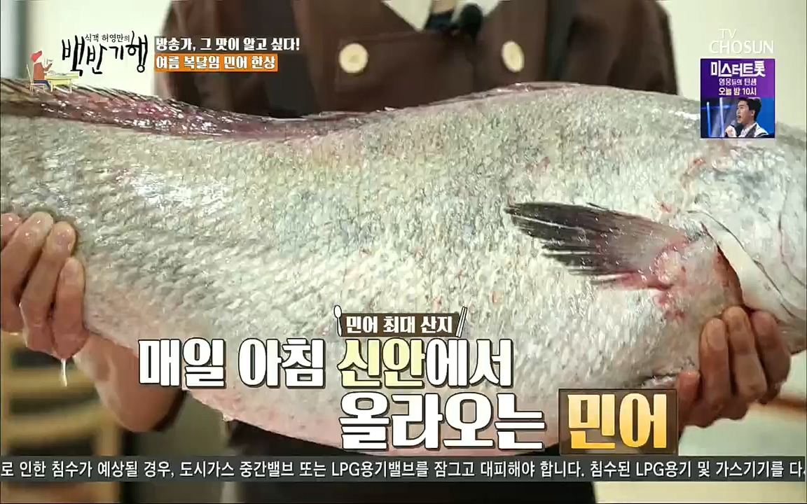 식객 허영만의 백반기행.E195.220820p.H264-F1RST.mp4_20220820_173440.218.jpg