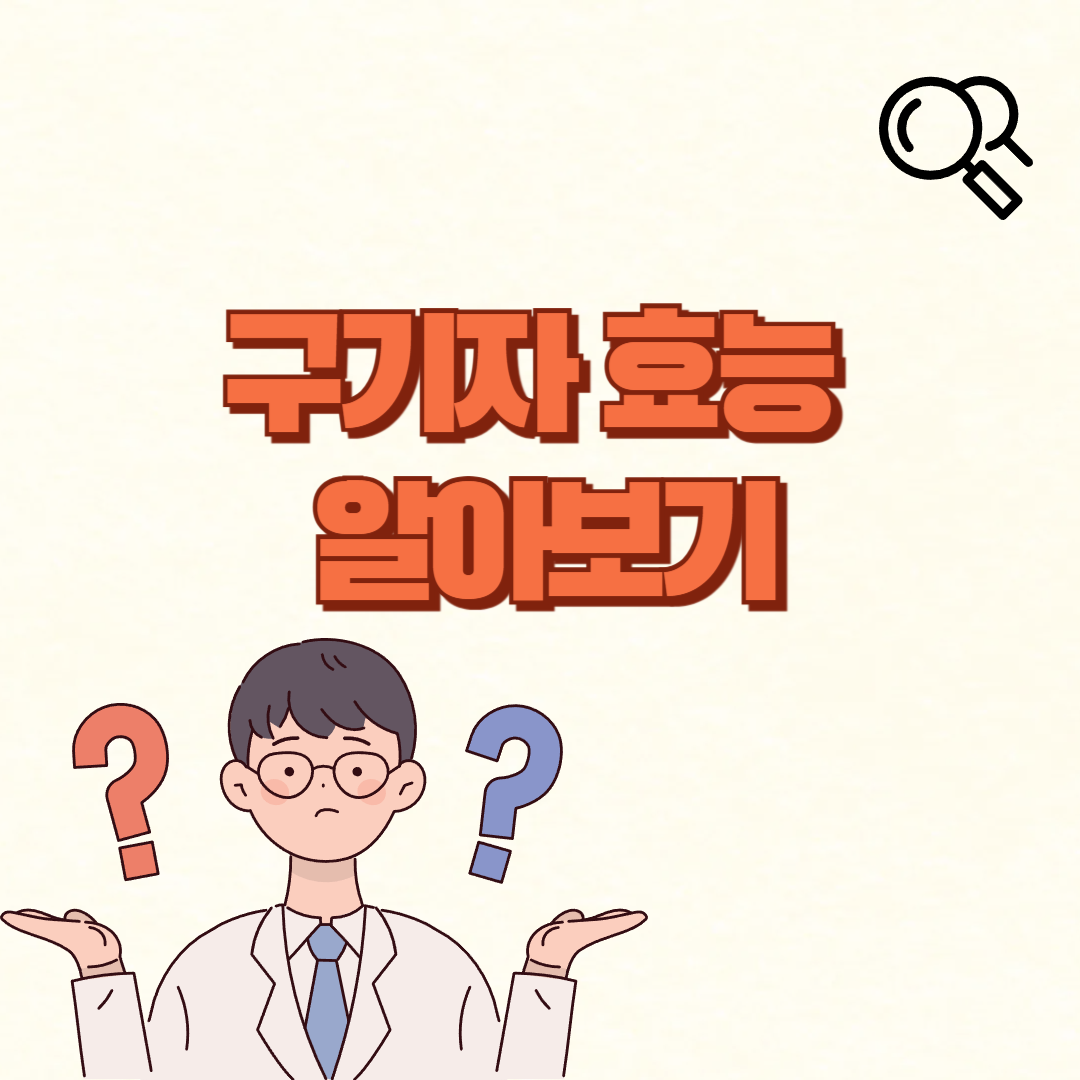 구기자 효능✅