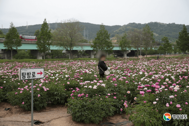 탐방로 사진