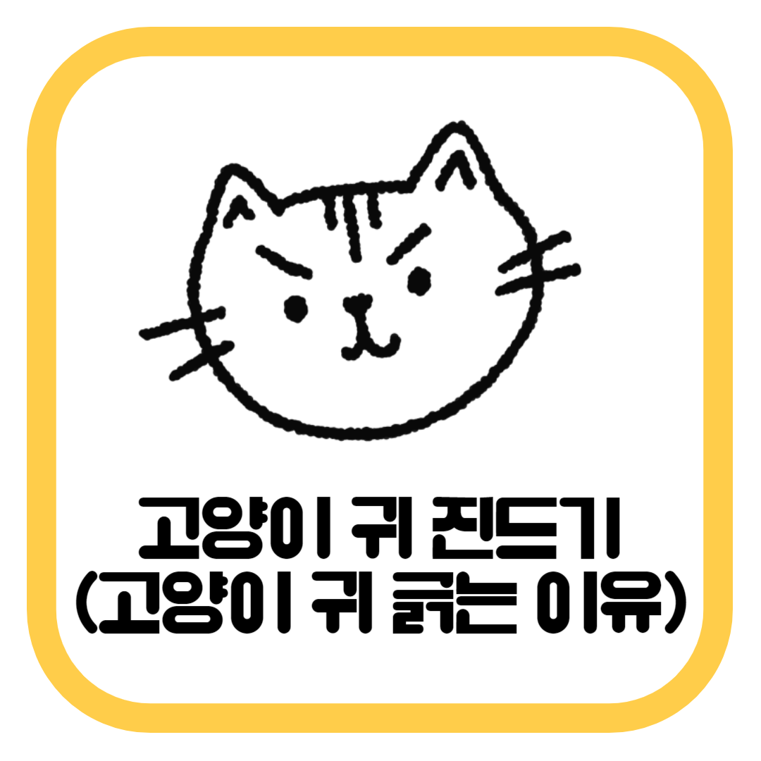 고양이 귀 진드기(고양이 귀 긁는 이유)
