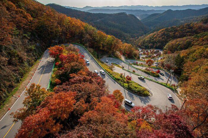 내 차와 함께 달리는 도로