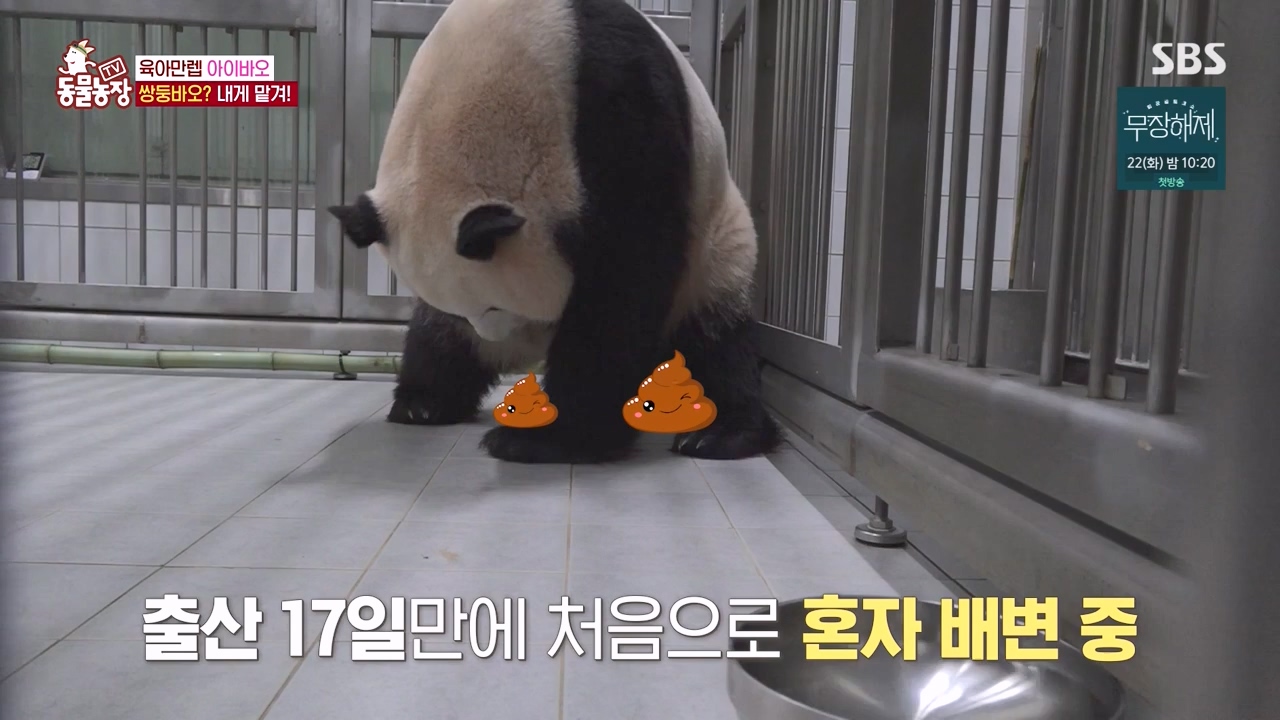 TV 동물농장.E1134.230821p-NEXT.mp4_20230820_193345.077.jpg
