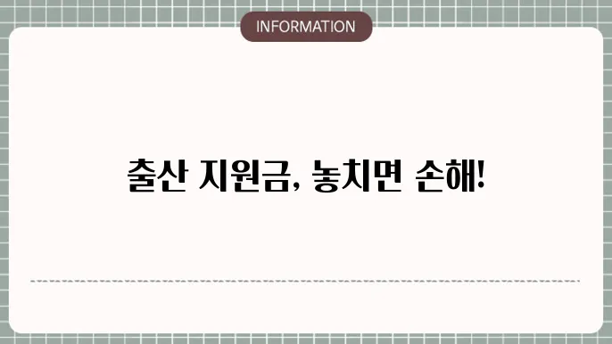 출산 정부 지원금: 기본 정보 정리
